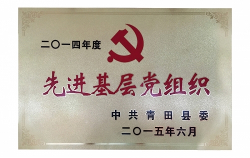 资质荣誉-918博天堂,电子式电能,智能电能表,智能开关,智能AMI系统,物联网解决规划,官方网站