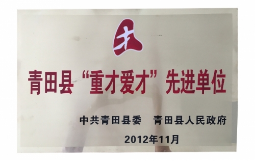 资质荣誉-918博天堂,电子式电能,智能电能表,智能开关,智能AMI系统,物联网解决规划,官方网站