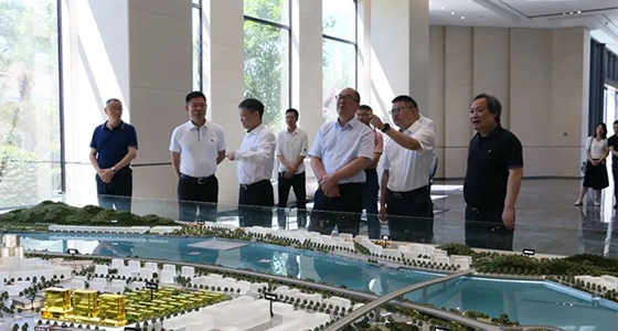 省委政研室童主任一行调研918博天堂集团