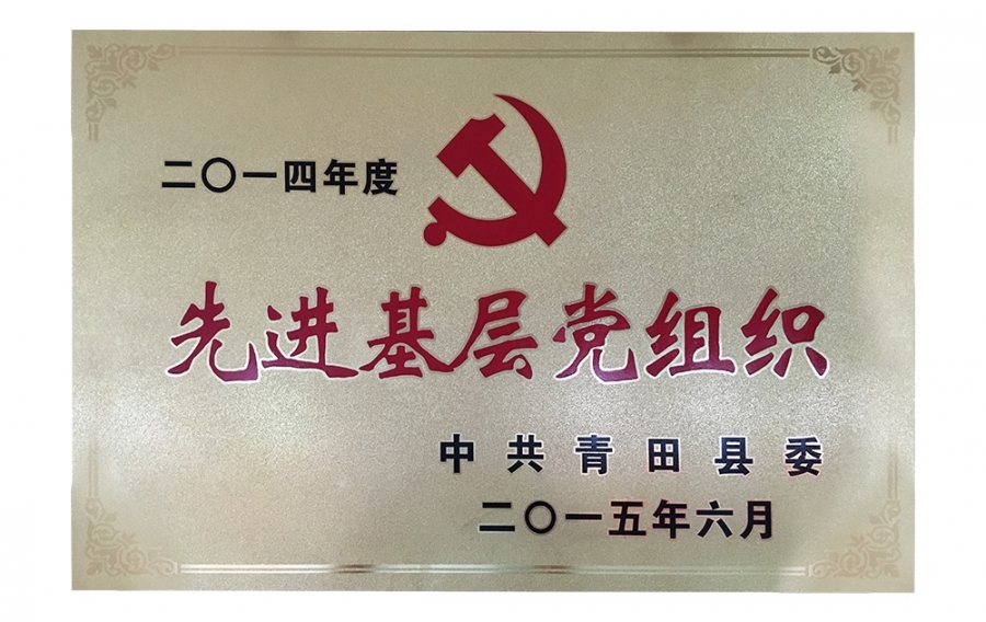 先进基层党组织